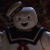 drstaypuftphd