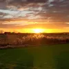 orangegore