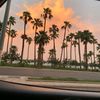 haleybcatherine