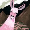 llamafaceflowerlady3