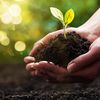 HappySoil
