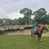 rafael.noguera22