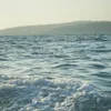 useeer_260