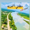 amer.raheem8
