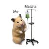 matchalumer_00