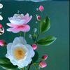 user50176187296