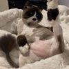 thickfridge848