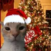 si_nerner