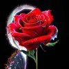 user86081722568404