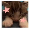 aki.tiktokfinds
