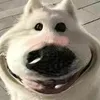 girldsuy