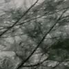 cari_cuan1848