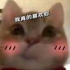 user93814090167040