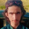 zardari.mazari