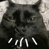un.user_de.tiktok