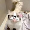 onesaaa23