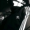 flyspidrmn