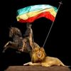 birlew.abebe