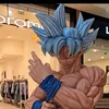 rirecommedesfous7