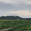 kamadoyan