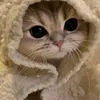 khanhh_16__