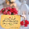 walaa.mohamed805