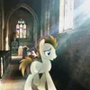mlpbutinreallife