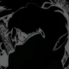 drxw50