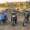 okyrip05