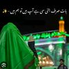 syeda.batool061