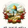 salim.oman03