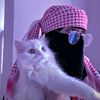 qalanjodumar26