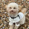 mabelthetoypoodle1