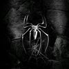 spider20117