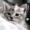camila_27cat