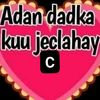 dawiil5555