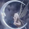 jean.gerard13