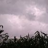 user6206909472424