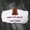user3878316819492