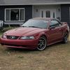 mustanggilles