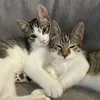 Regg and Ry
