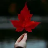 __ooioo11