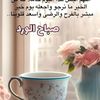 user8543391237785