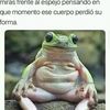 los.locos565
