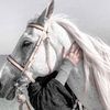 mariam.ghorab6