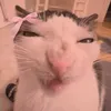_.kitkaa._1
