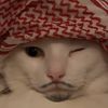 athmanalmutairi