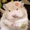 chomchomnon