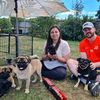 Pug Puppies For Sale