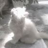 judy01830